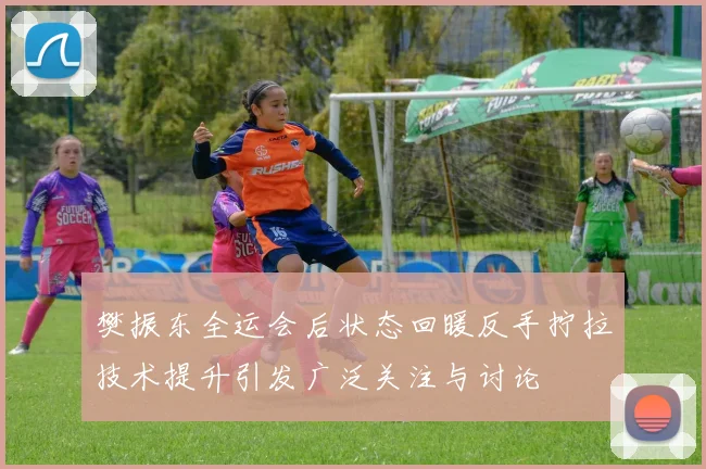 樊振东全运会后状态回暖反手拧拉技术提升引发广泛关注与讨论
